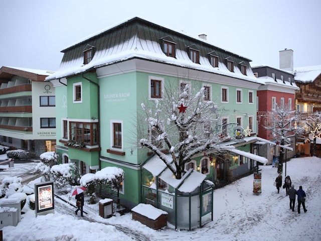 Hotel Grüner Baum